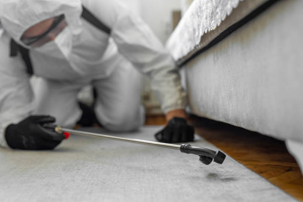 Professional Termite Control technician working in Rialto, CA