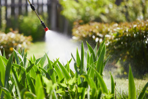 24/7 Emergency Termite Control experts in Rialto, CA