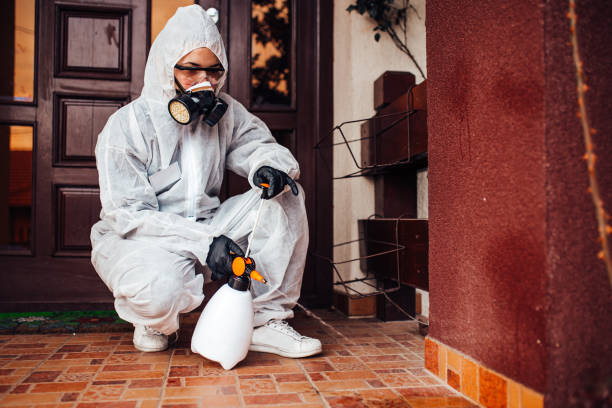 Reliable Termite Control contractor in Rialto, CA by Nex Pest Control